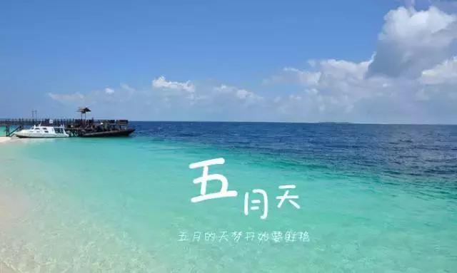 有哪些歌最打动你,哪些歌词打动人心