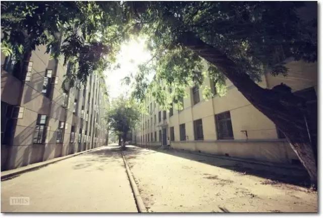 有哪些歌最打动你,哪些歌词打动人心