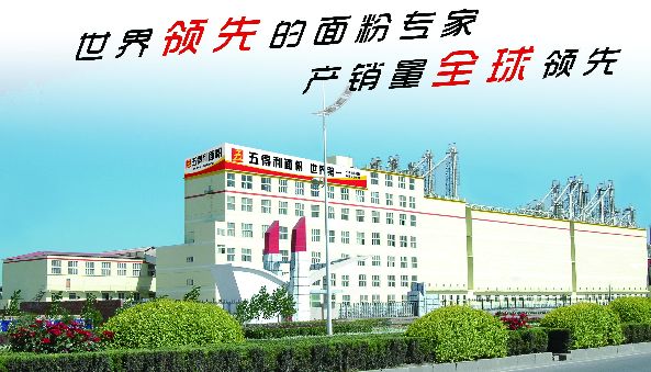 邯郸有哪些影响中国的,影响我国经济的几家企业