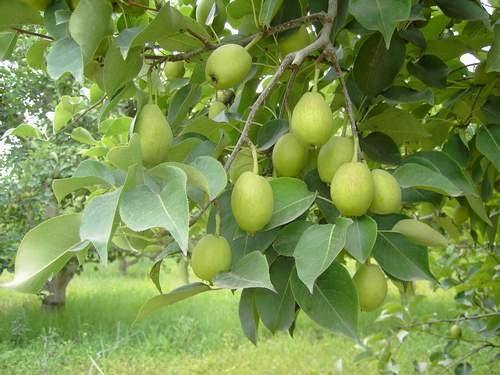 陆良的景点和小吃,曲靖陆良有名景点