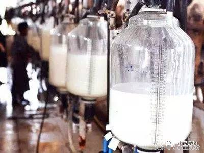 真奶粉与假奶粉辨别真假方法,假奶粉和真奶粉的颜色