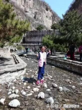 创文明城市特别策划：“我眼中最美春天”随后拍作品7