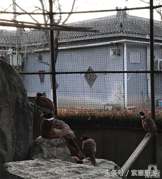 京津冀旅游农家院攻略,河北农家乐旅游攻略