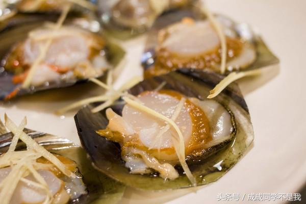 在大海里吃各种各样的海鲜,海边吃海鲜的真实感受