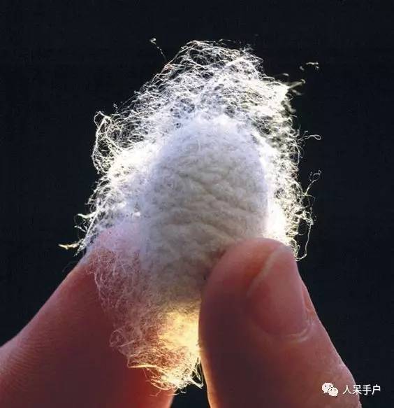 可爱的蚕宝宝怎么做,可爱的蚕宝宝