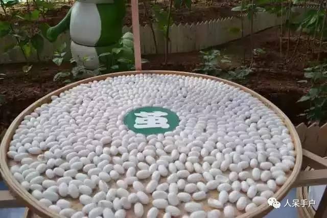 可爱的蚕宝宝怎么做,可爱的蚕宝宝