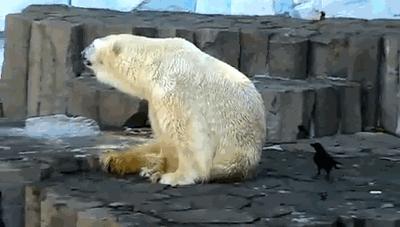 来！给鸦哥上支烟！