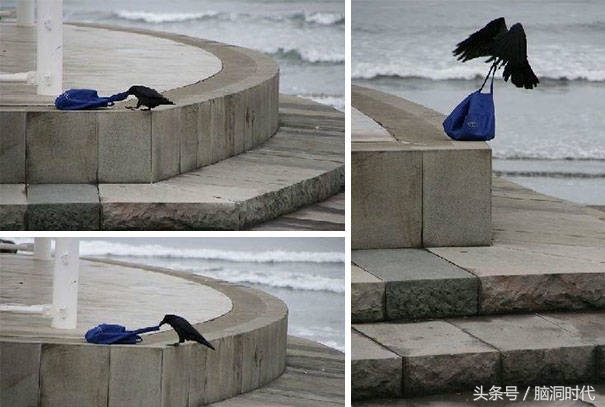 来！给鸦哥上支烟！