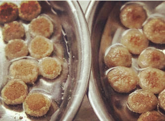 犬舍喂养幼犬的方法,新手零基础怎么养幼犬