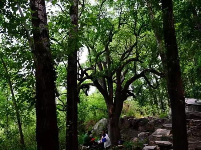 密云很少人知道的地方,密云发现神秘遗址