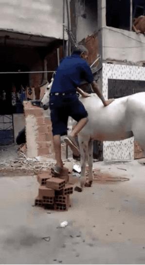 我有一个大胆的想法下句,我有一个大胆的想法表情包动图