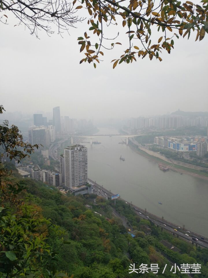 重庆龙缸景区偶遇外国人,重庆望远鹅岭公园视频