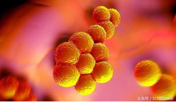 人见人怕的蜱虫含有特殊蛋白,是治疗人类超级细菌药物的唯一原料