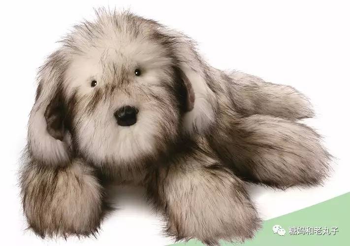 钱会花光人会散它萌不会离开你