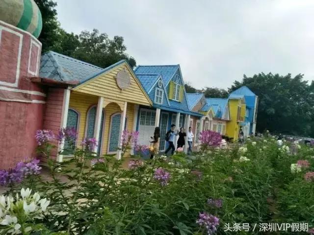 从化毅华温泉特色,从化毅华温泉旅游攻略