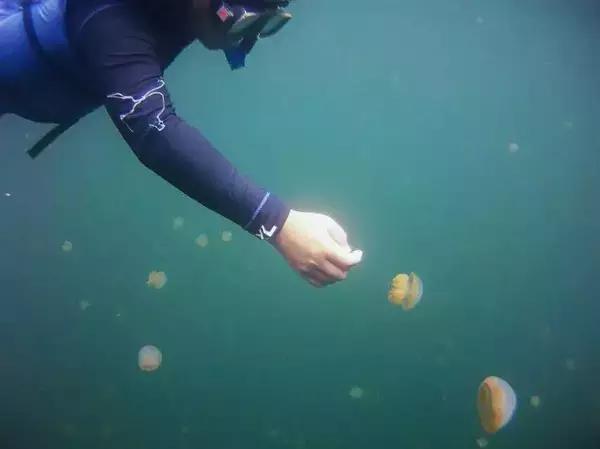 无需签证可以去旅游的国家,值得去的免签小众国家