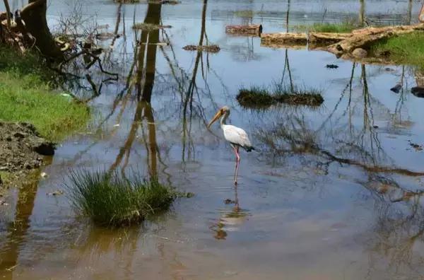 无需签证可以去旅游的国家,值得去的免签小众国家