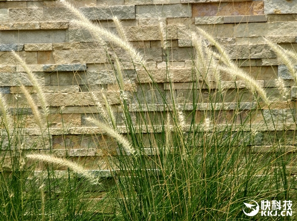 老外观看小米汽车之后的感受,老外赞叹中国美景反应视频