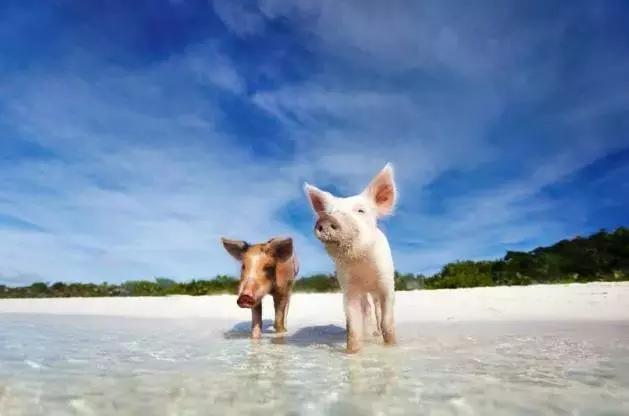 比马尔代夫便宜的小众海岛,马尔代夫免签好去处