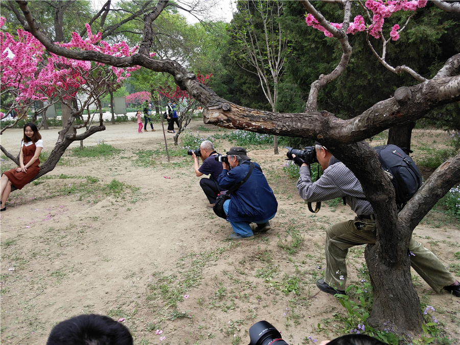 “劲捷杯”最美春·途摄影大赛兴隆公园外拍活动花絮
