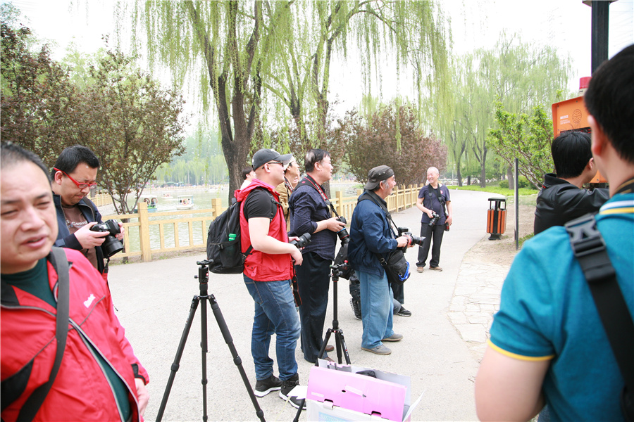 “劲捷杯”最美春·途摄影大赛兴隆公园外拍活动花絮