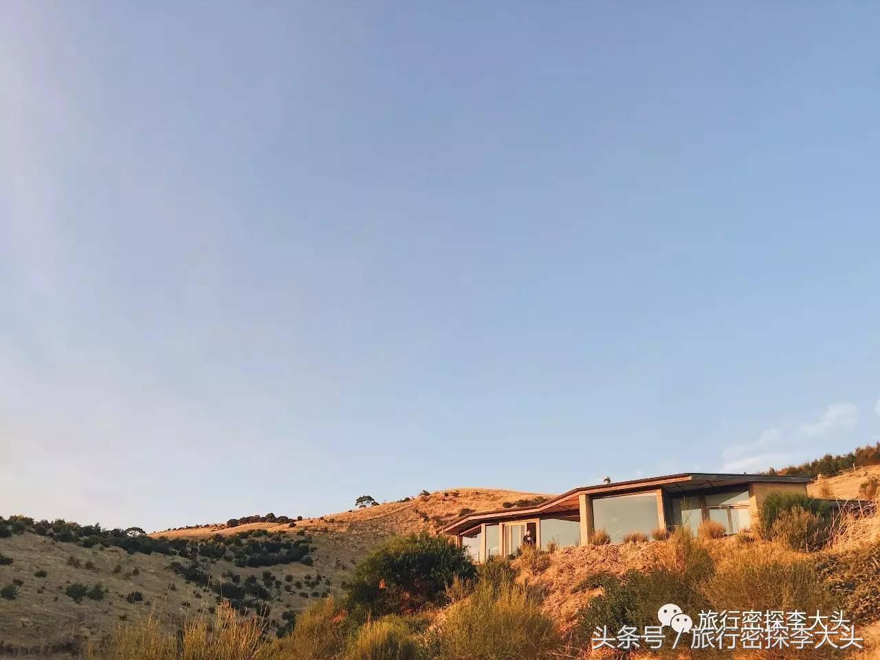 中国哪里可以抱考拉,全球哪里可以抱考拉