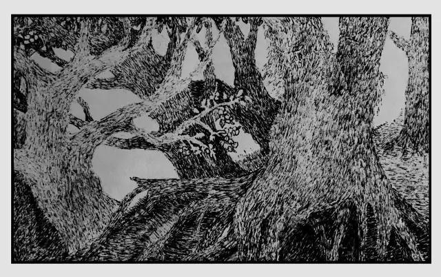 插画师迷狸：路过，停留