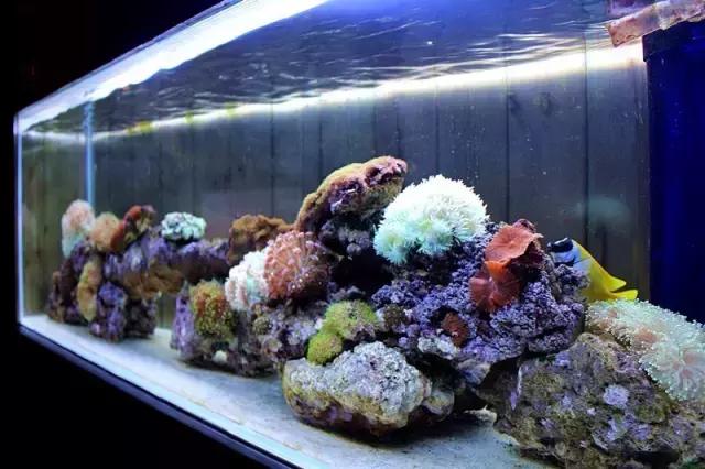 藏得如此之深の匠心小店，我一个月只能来一次每逢周3半价