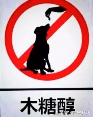 狗狗误食会怎么样,狗狗误食致死