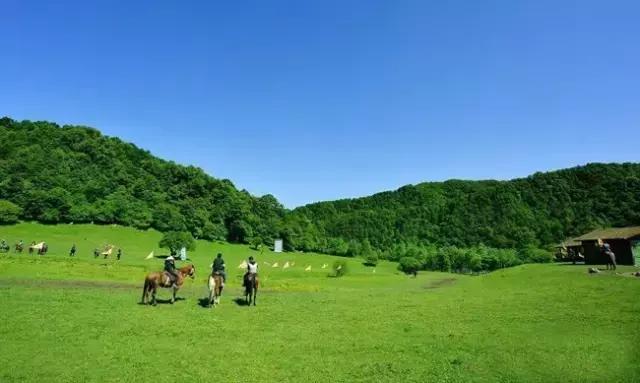 大水川自然风光介绍,大水川景色美吗