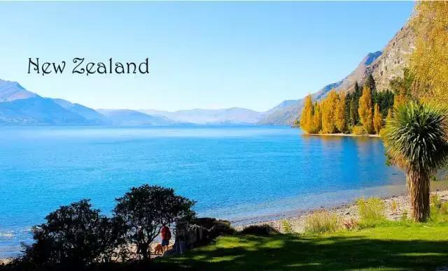 签证没过期护照过期了怎么办,签证身份书过期了应该怎么办