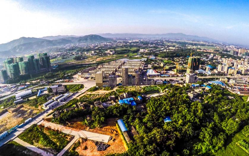 中国桂圆之乡广西博白,广西博白县桂圆柚之乡