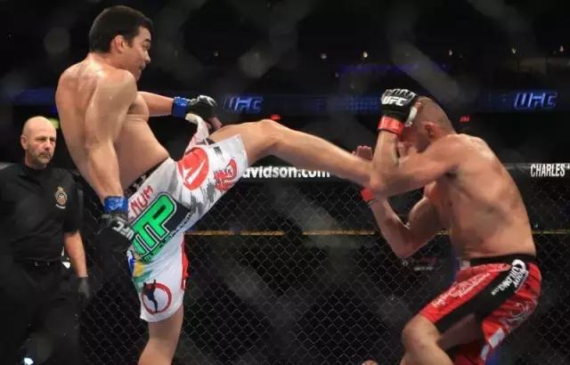 传统武术到底能不能打李连杰,ufc传统武术