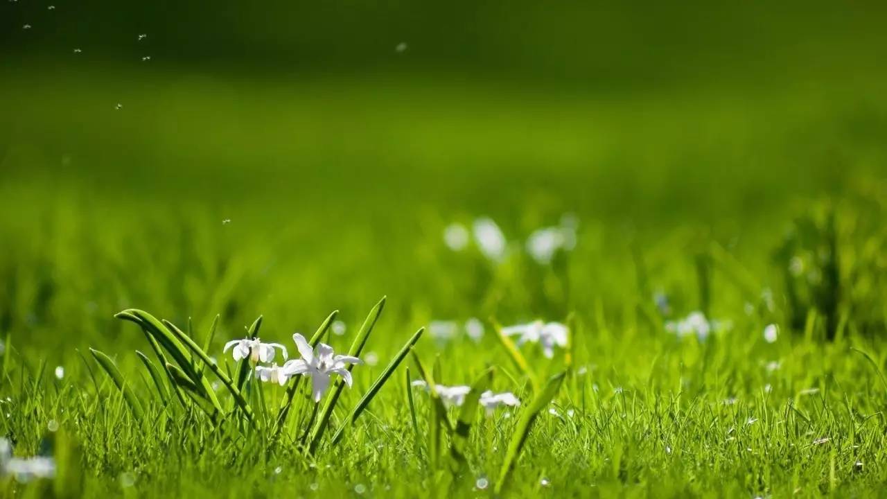 em500增韧剂多少钱,em500的优点是什么