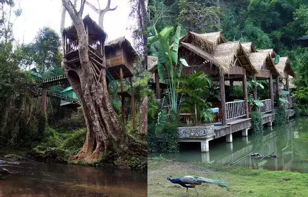 泼水节后，西双版纳该怎么玩，附防高温注意事项