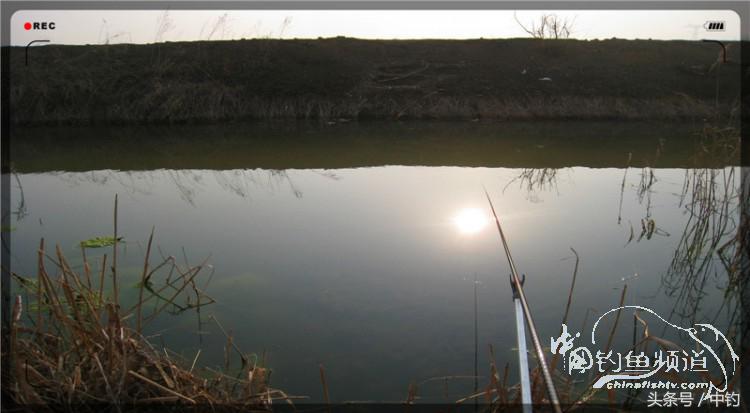 放流才有路亚的乐趣,放流能让资源更丰富