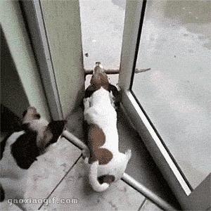 妹子被小龙虾夹,妹子被螃蟹夹了