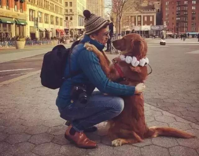 简单粗暴撸狗,撸狗的正确撸法