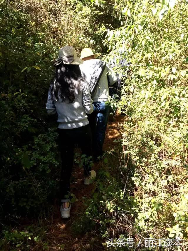 丽江创业卖什么挣钱,丽江大学生创业