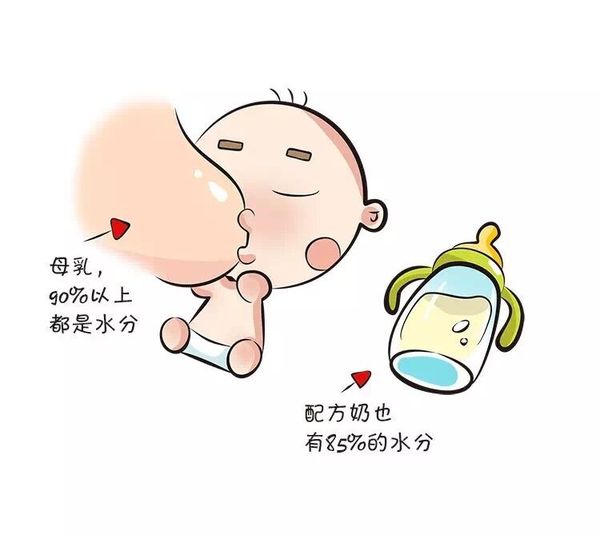 6个月宝宝需要喝水吗,6个月的宝宝需要喝水杯吗