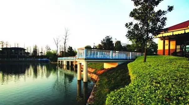 地铁8号线全线开通了吗,地铁8号线是什么时候开通的