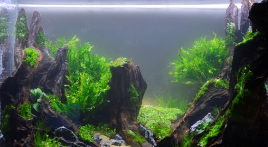 英孚教育一对一的价格是多少,3w元的英孚课程