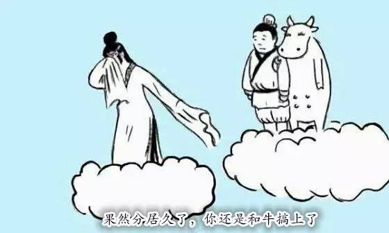 母荷兰猪可以做绝育手术吗,两只不同的荷兰猪可以绝育吗