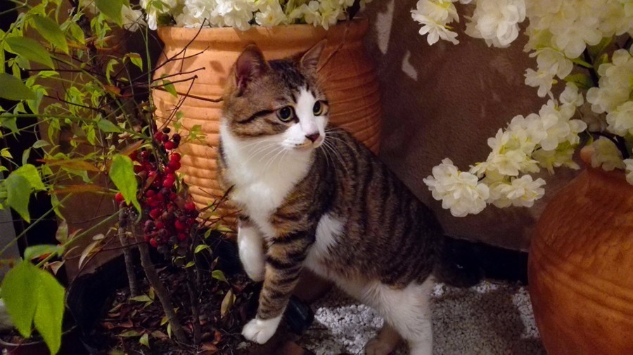 元宝山下,山水云间,悠悠闲云时光,恰好那时我也在