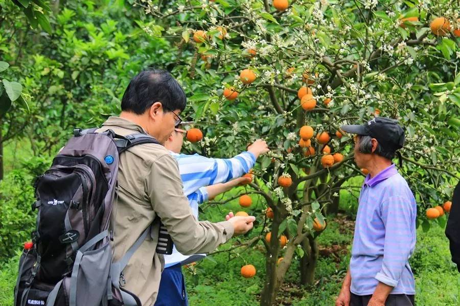 元宝山下,山水云间,悠悠闲云时光,恰好那时我也在