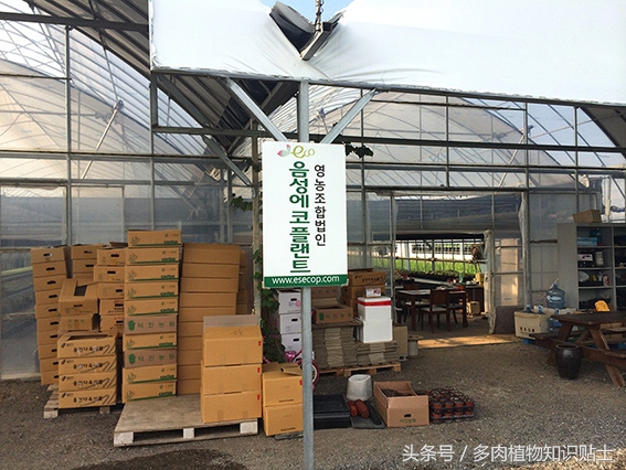 中日韩vs亚洲其他国家,中日韩比拼