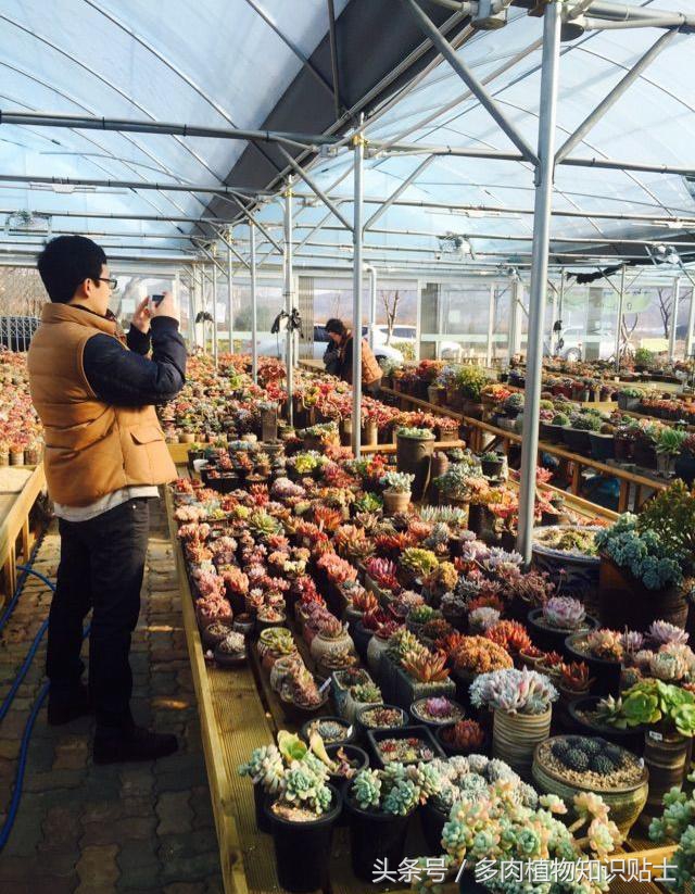 中日韩vs亚洲其他国家,中日韩比拼