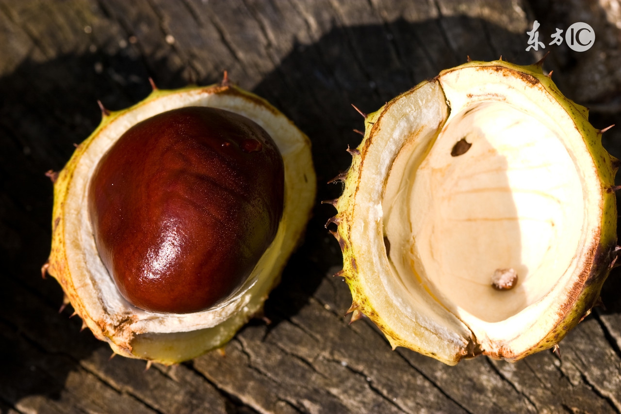 肾虚有哪些水果不能吃,肾亏吃什么菜补得最快