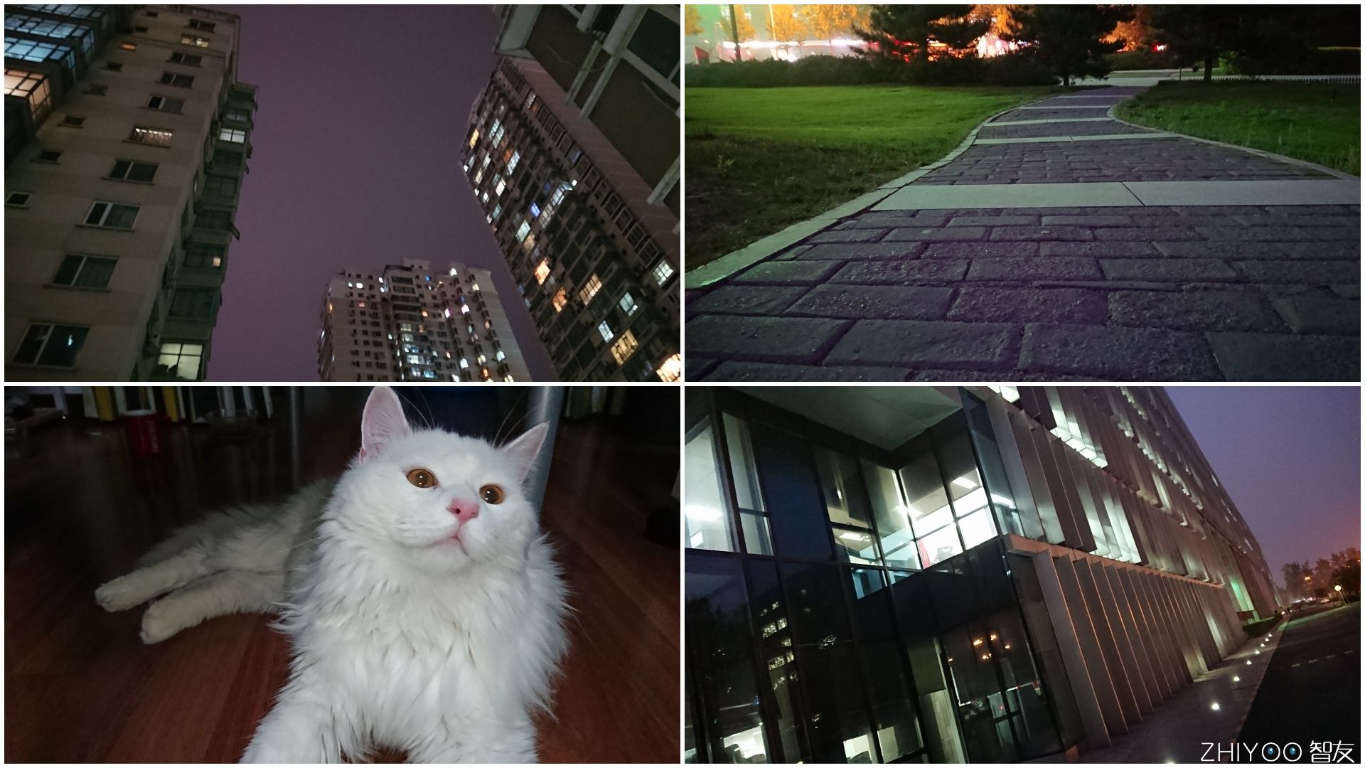 索尼xperiaxzcompact像素,索尼xperiaxz拍摄体验