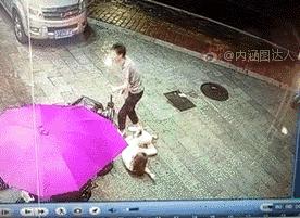 大妈一看就是老手，只是这次栽了！